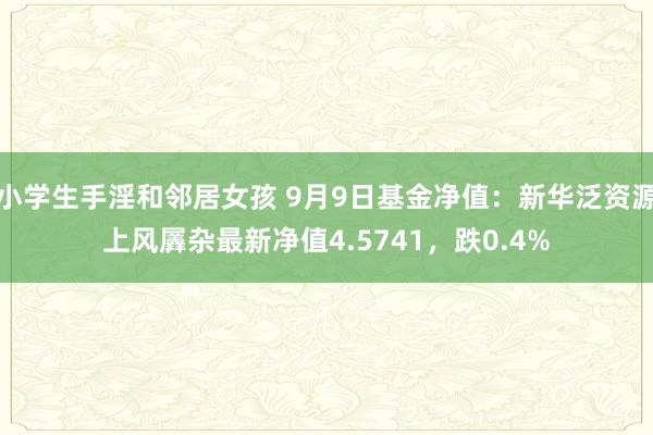 小学生手淫和邻居女孩 9月9日基金净值：新华泛资源上风羼杂最新净值4.5741，跌0.4%