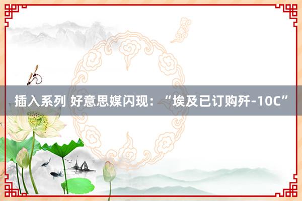 插入系列 好意思媒闪现：“埃及已订购歼-10C”