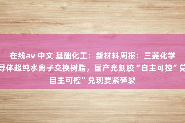 在线av 中文 基础化工:新材料周报:三菱化学文告扩产半导体超纯水离子交换树脂,国产光刻胶“自主可控”兑现要紧碎裂