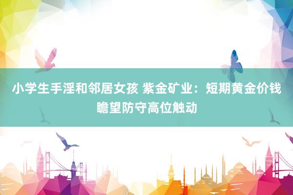 小学生手淫和邻居女孩 紫金矿业：短期黄金价钱瞻望防守高位触动