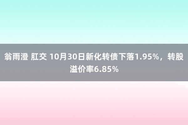 翁雨澄 肛交 10月30日新化转债下落1.95%，转股溢价率6.85%