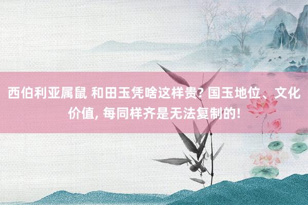 西伯利亚属鼠 和田玉凭啥这样贵? 国玉地位、文化价值， 每同样齐是无法复制的!