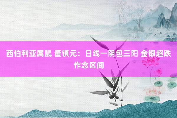 西伯利亚属鼠 董镇元：日线一阴包三阳 金银超跌作念区间