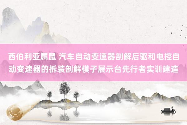 西伯利亚属鼠 汽车自动变速器剖解后驱和电控自动变速器的拆装剖解模子展示台先行者实训建造