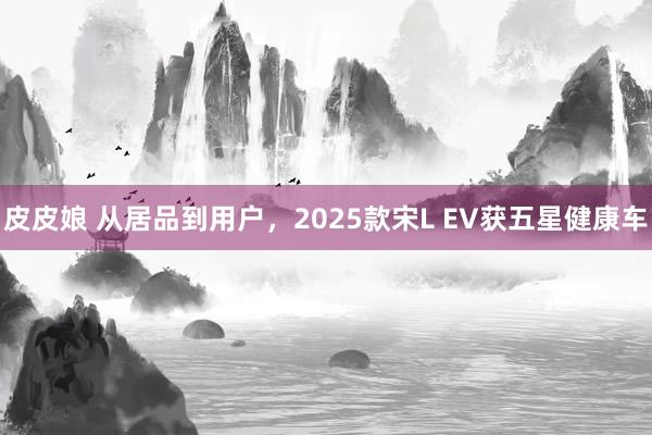 皮皮娘 从居品到用户，2025款宋L EV获五星健康车