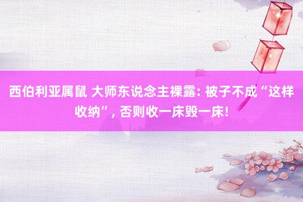 西伯利亚属鼠 大师东说念主裸露: 被子不成“这样收纳”， 否则收一床毁一床!