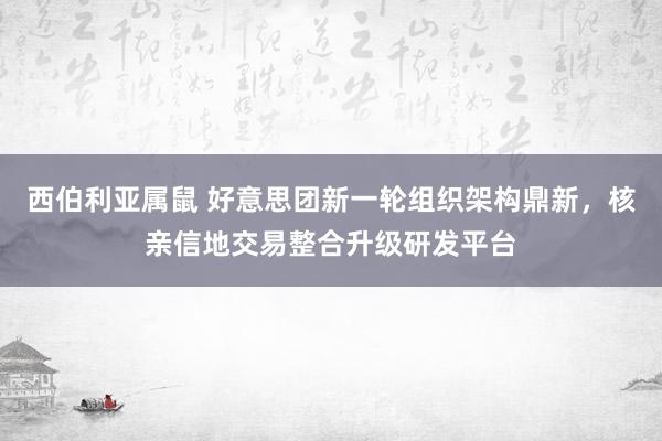 西伯利亚属鼠 好意思团新一轮组织架构鼎新，核亲信地交易整合升级研发平台