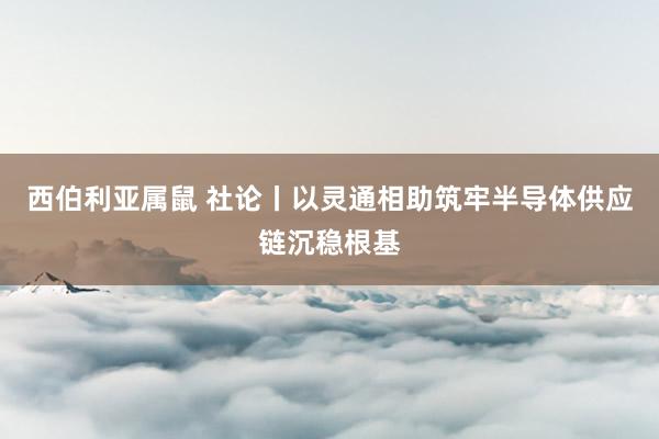 西伯利亚属鼠 社论丨以灵通相助筑牢半导体供应链沉稳根基