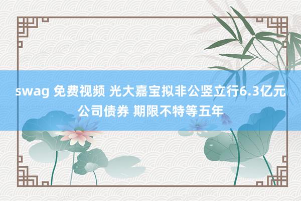 swag 免费视频 光大嘉宝拟非公竖立行6.3亿元公司债券 期限不特等五年