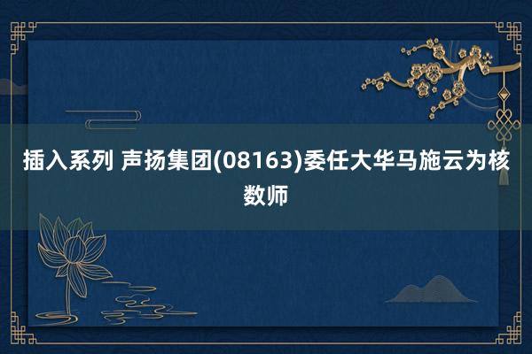 插入系列 声扬集团(08163)委任大华马施云为核数师
