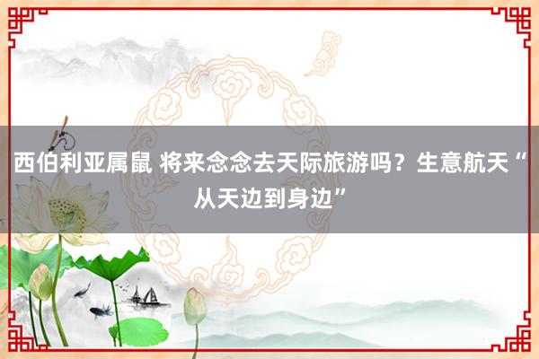 西伯利亚属鼠 将来念念去天际旅游吗？生意航天“从天边到身边”