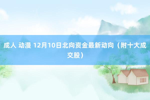 成人 动漫 12月10日北向资金最新动向（附十大成交股）