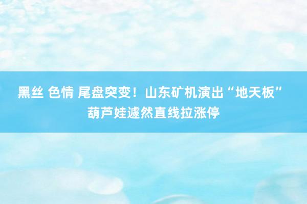 黑丝 色情 尾盘突变！山东矿机演出“地天板” 葫芦娃遽然直线拉涨停