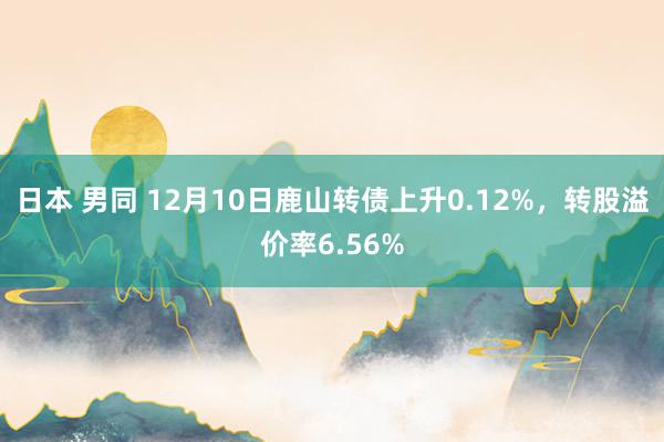 日本 男同 12月10日鹿山转债上升0.12%，转股溢价率6.56%