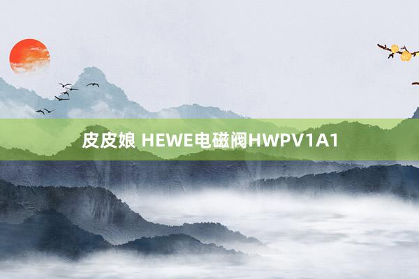 皮皮娘 HEWE电磁阀HWPV1A1
