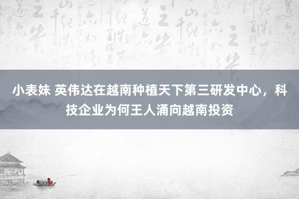 小表妹 英伟达在越南种植天下第三研发中心，科技企业为何王人涌向越南投资
