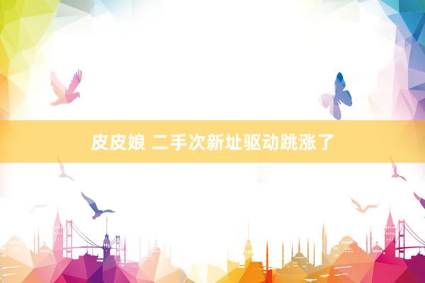 皮皮娘 二手次新址驱动跳涨了