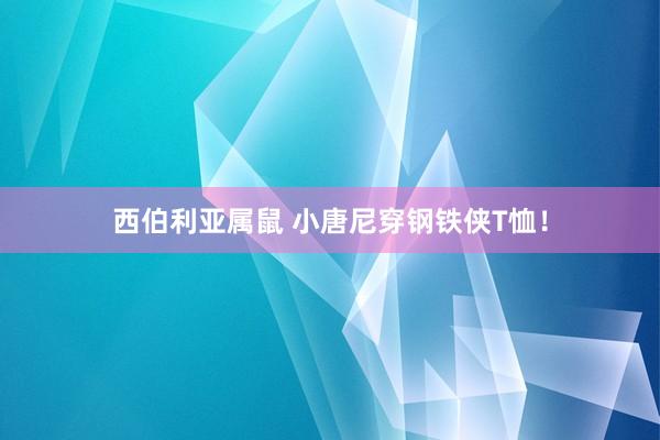 西伯利亚属鼠 小唐尼穿钢铁侠T恤！
