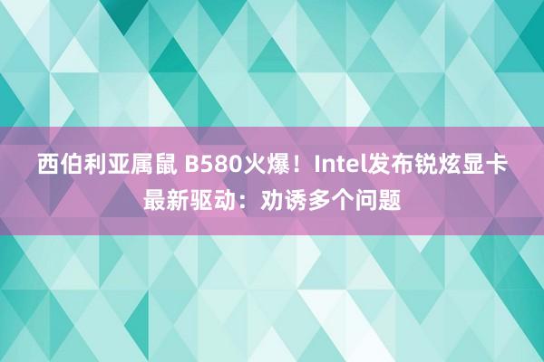 西伯利亚属鼠 B580火爆！Intel发布锐炫显卡最新驱动：劝诱多个问题
