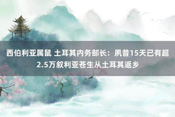 西伯利亚属鼠 土耳其内务部长：夙昔15天已有超2.5万叙利亚苍生从土耳其返乡