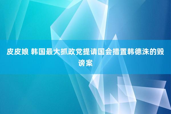 皮皮娘 韩国最大抓政党提请国会措置韩德洙的毁谤案