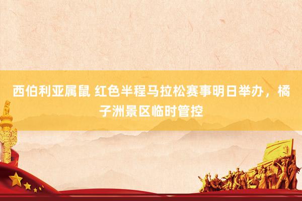 西伯利亚属鼠 红色半程马拉松赛事明日举办，橘子洲景区临时管控