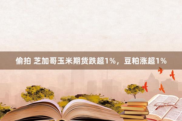 偷拍 芝加哥玉米期货跌超1%，豆粕涨超1%