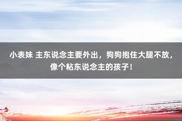 小表妹 主东说念主要外出，狗狗抱住大腿不放，像个粘东说念主的孩子！