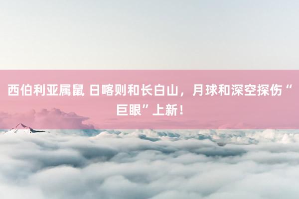西伯利亚属鼠 日喀则和长白山，月球和深空探伤“巨眼”上新！