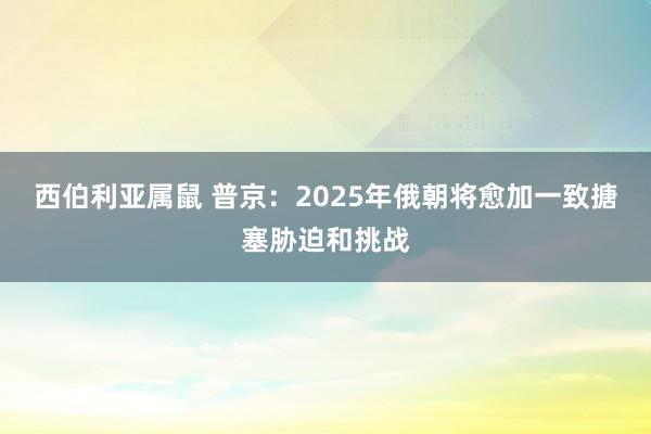 西伯利亚属鼠 普京：2025年俄朝将愈加一致搪塞胁迫和挑战