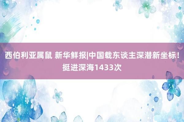 西伯利亚属鼠 新华鲜报|中国载东谈主深潜新坐标！挺进深海1433次