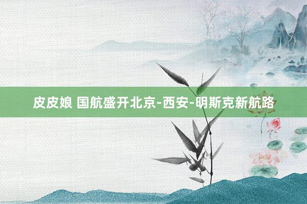 皮皮娘 国航盛开北京-西安-明斯克新航路