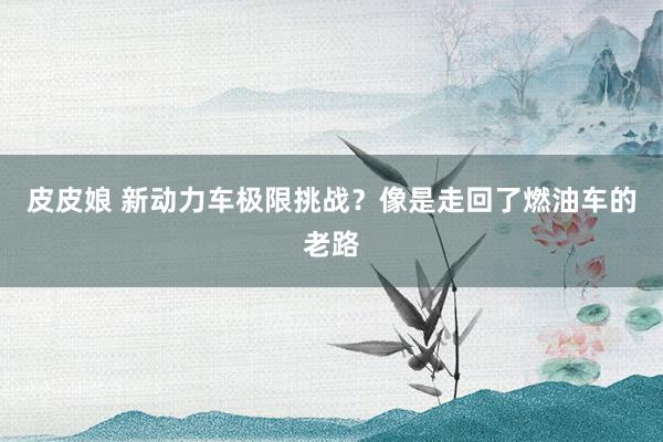 皮皮娘 新动力车极限挑战？像是走回了燃油车的老路