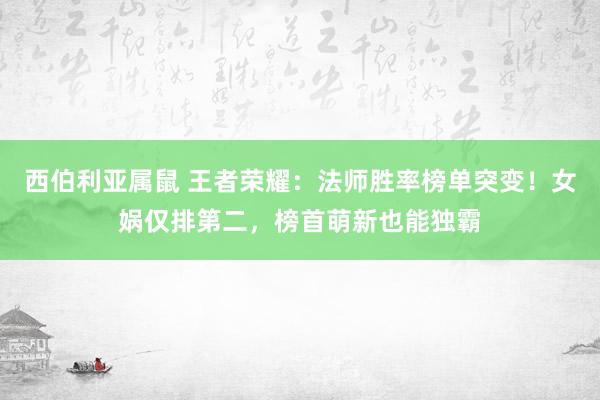 西伯利亚属鼠 王者荣耀：法师胜率榜单突变！女娲仅排第二，榜首萌新也能独霸