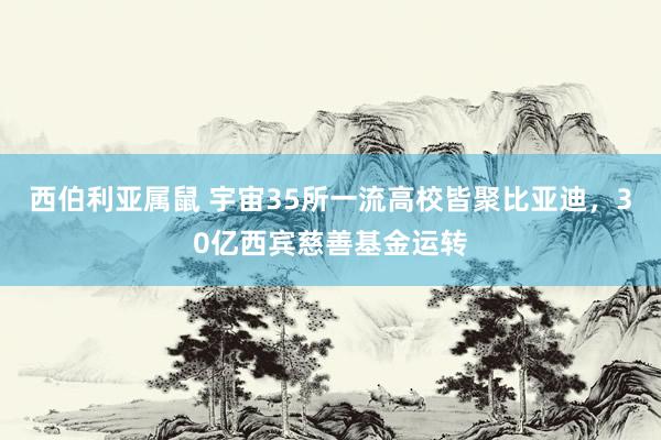 西伯利亚属鼠 宇宙35所一流高校皆聚比亚迪，30亿西宾慈善基金运转