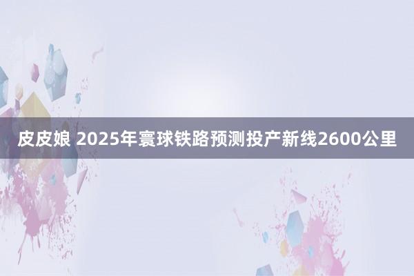 皮皮娘 2025年寰球铁路预测投产新线2600公里