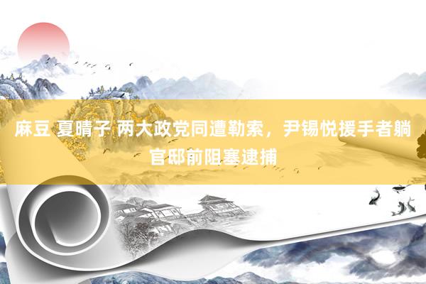 麻豆 夏晴子 两大政党同遭勒索，尹锡悦援手者躺官邸前阻塞逮捕