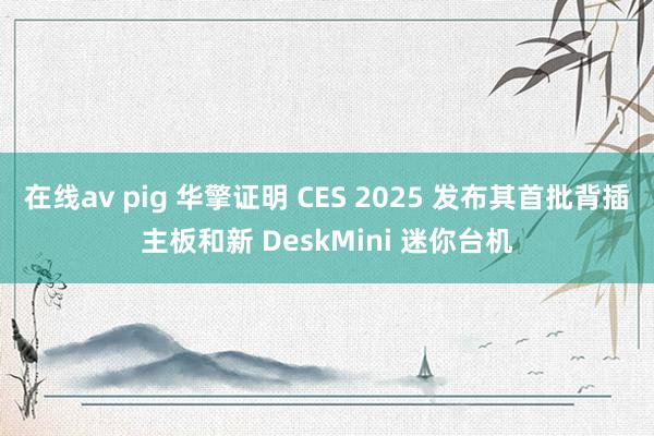 在线av pig 华擎证明 CES 2025 发布其首批背插主板和新 DeskMini 迷你台机