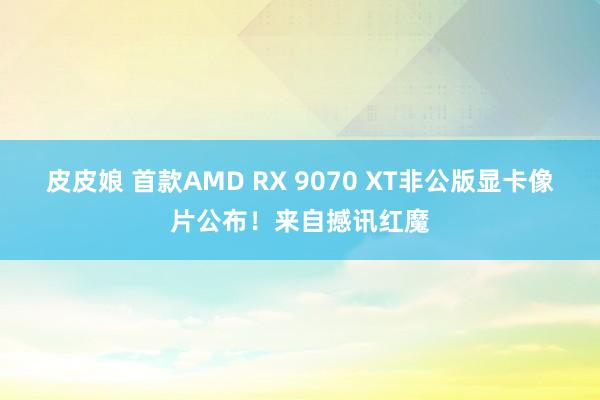 皮皮娘 首款AMD RX 9070 XT非公版显卡像片公布！来自撼讯红魔
