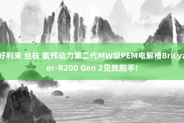 好利来 丝袜 氢辉动力第二代MW级PEM电解槽BriLyzer-R200 Gen 2见效脱手!