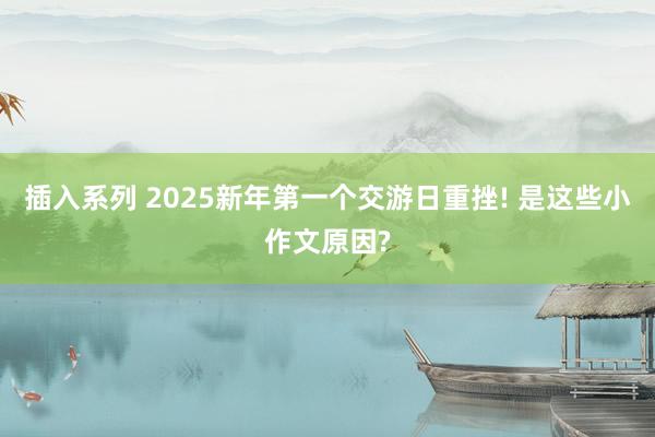 插入系列 2025新年第一个交游日重挫! 是这些小作文原因?