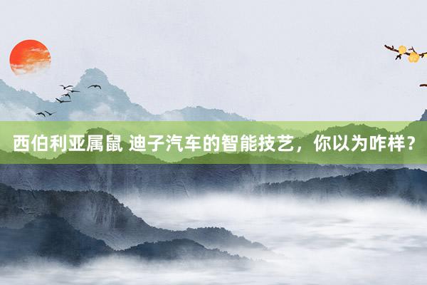 西伯利亚属鼠 迪子汽车的智能技艺，你以为咋样？