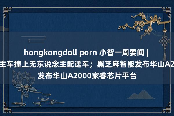 hongkongdoll porn 小智一周要闻 | Waymo无东说念主车撞上无东说念主配送车；黑芝麻智能发布华山A2000家眷芯片平台