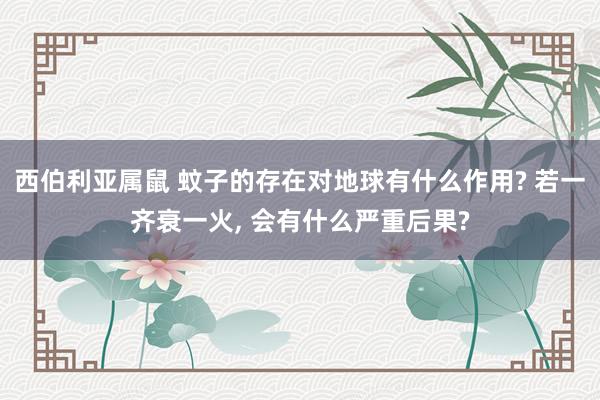 西伯利亚属鼠 蚊子的存在对地球有什么作用? 若一齐衰一火， 会有什么严重后果?