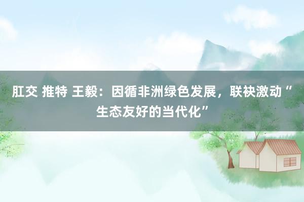 肛交 推特 王毅：因循非洲绿色发展，联袂激动“生态友好的当代化”