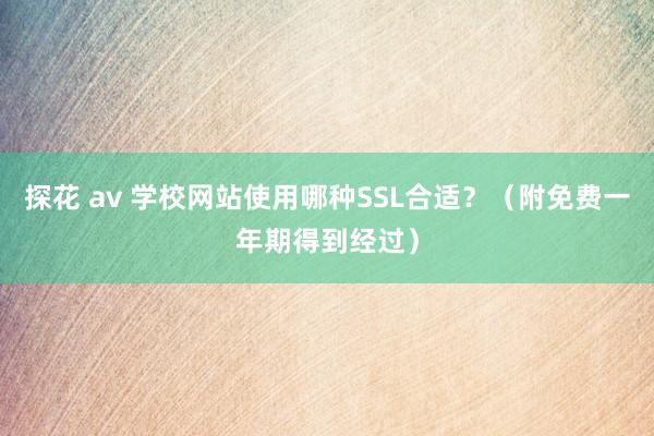 探花 av 学校网站使用哪种SSL合适？（附免费一年期得到经过）