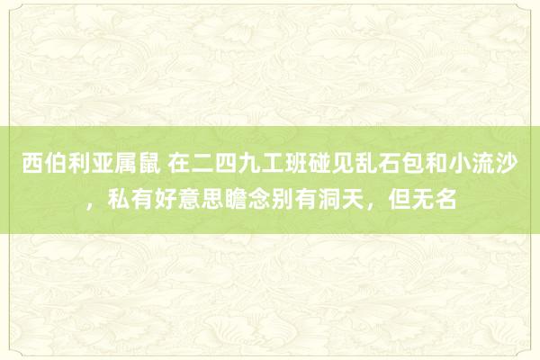 西伯利亚属鼠 在二四九工班碰见乱石包和小流沙，私有好意思瞻念别有洞天，但无名