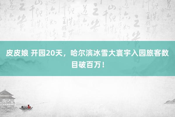皮皮娘 开园20天，哈尔滨冰雪大寰宇入园旅客数目破百万！