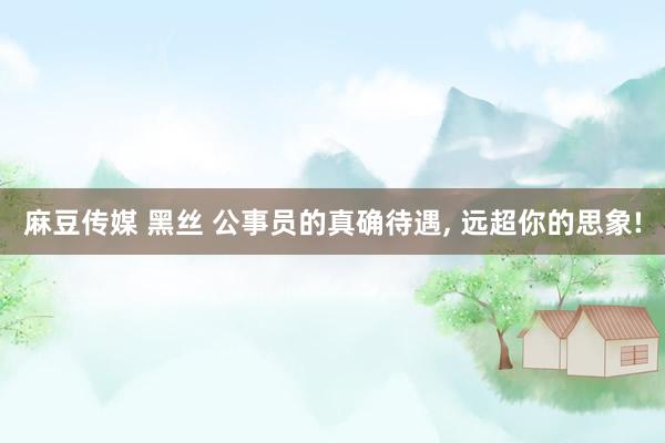 麻豆传媒 黑丝 公事员的真确待遇， 远超你的思象!