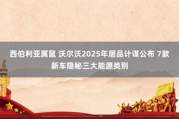 西伯利亚属鼠 沃尔沃2025年居品计谋公布 7款新车隐秘三大能源类别